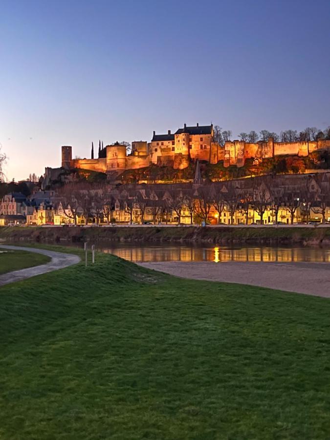 Le Rabelais, Superbe Appartement En Duplex, Proche Forteresse Et Monument Historique Chinon Eksteriør billede